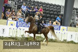 24R13_14882 thumbnail