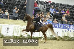 24R13_14883 thumbnail