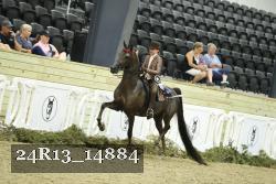 24R13_14884 thumbnail