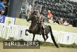 24R13_14885 thumbnail