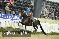 24R13_14886 thumbnail