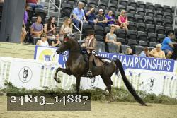 24R13_14887 thumbnail