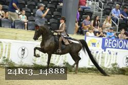 24R13_14888 thumbnail