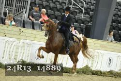 24R13_14889 thumbnail