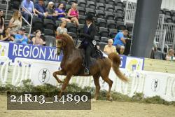 24R13_14890 thumbnail