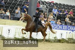 24R13_14891 thumbnail