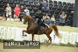 24R13_14892 thumbnail