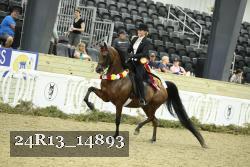 24R13_14893 thumbnail