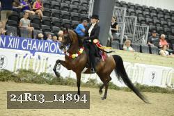 24R13_14894 thumbnail