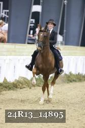 24R13_14895 thumbnail