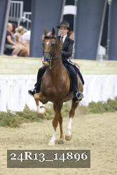 24R13_14896 thumbnail