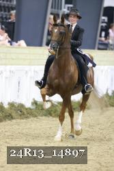 24R13_14897 thumbnail