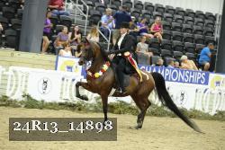 24R13_14898 thumbnail