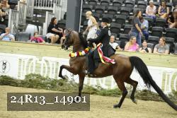 24R13_14901 thumbnail