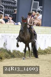 24R13_14903 thumbnail