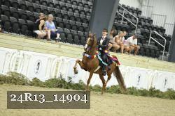24R13_14904 thumbnail