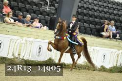 24R13_14905 thumbnail