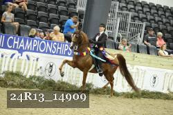 24R13_14909 thumbnail