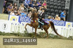 24R13_14910 thumbnail