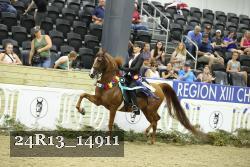 24R13_14911 thumbnail