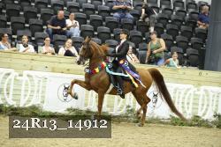 24R13_14912 thumbnail
