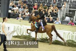 24R13_14916 thumbnail