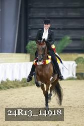 24R13_14918 thumbnail
