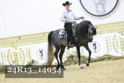 24R13_14954 thumbnail