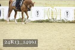 24R13_14961 thumbnail