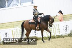24R13_14967 thumbnail
