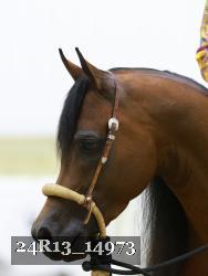 24R13_14973 thumbnail