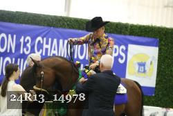 24R13_14978 thumbnail