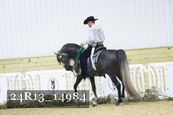 24R13_14984 thumbnail