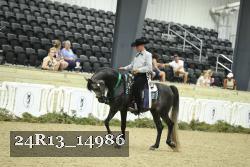 24R13_14986 thumbnail