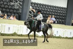 24R13_14987 thumbnail