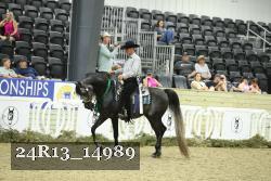 24R13_14989 thumbnail