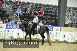 24R13_14991 thumbnail
