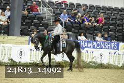 24R13_14992 thumbnail