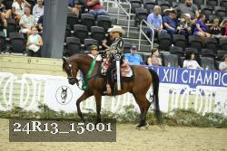 24R13_15001 thumbnail