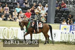 24R13_15003 thumbnail