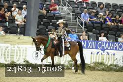 24R13_15008 thumbnail