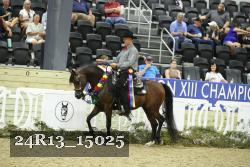 24R13_15025 thumbnail