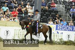 24R13_15026 thumbnail