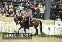 24R13_15027 thumbnail