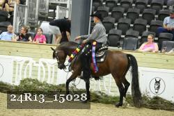 24R13_15028 thumbnail