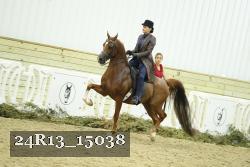 24R13_15038 thumbnail