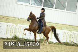 24R13_15039 thumbnail