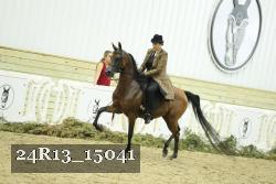 24R13_15041 thumbnail