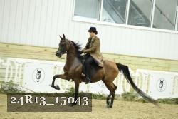 24R13_15043 thumbnail