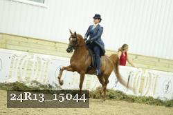 24R13_15044 thumbnail